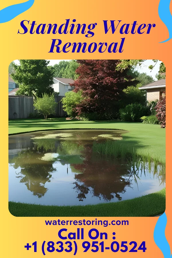Standing Water Removal in Higginson, AR